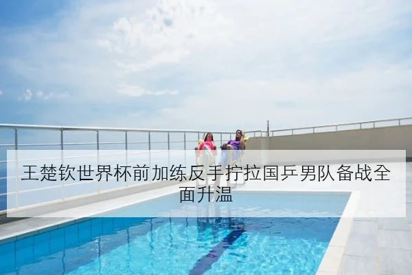 王楚钦世界杯前加练反手拧拉国乒男队备战全面升温